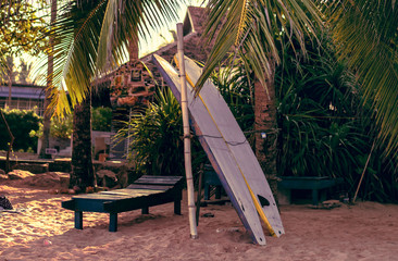 Surfboards resting on a wooden stand in the sand at a surf station in Sri Lanka Hikkaduwa