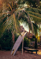 Surfboards resting on a wooden stand in the sand at a surf station in Sri Lanka Hikkaduwa