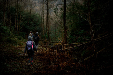 Group of friends walking with backpacks in the dark forest