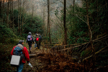 Group of people walking with backpacks in the dark forest