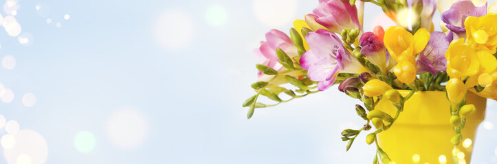 Obraz na płótnie Canvas Spring background with freesias