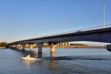 青空に浮かび上がる白いシラスコ湘南大橋