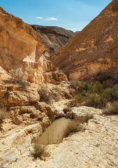 natral seasonal rain water cache in the limestone bedrock of the dry rugged karkash stream canyon in the zin desert near sde boqer in Israel © Sarit Richerson