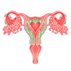 Obraz na płótnie Canvas Decorative drawing of female reproductive system with flowers. Hand drawn uterus, womb. Girl power, feminism, female nature. Vector illustration isolated on white.