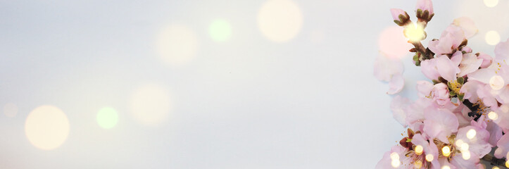 Spring background with blossom and wedding rings