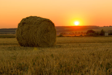 Rural scene. Hay