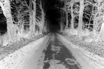 Inverted negative black and white image of a rural country road lane with trees either side.  Abstract image
