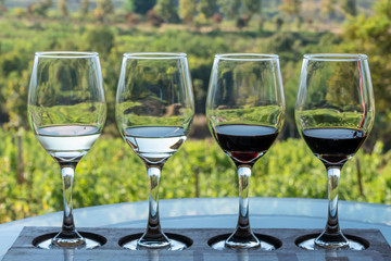 Row of wine glasses by vineyard
