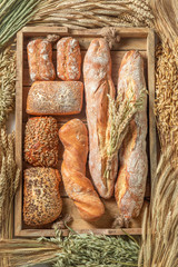 Brown baguettes and buns with ears and grains