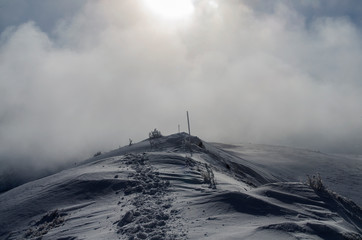 Ośnieżone krzewy na połoninie Wetlińskiej Bieszczady © wedrownik52