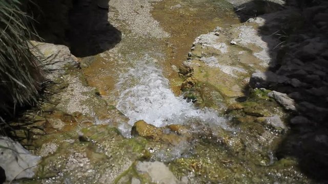 Water stream river in a desert oasis in Ein Gedi, Israel
