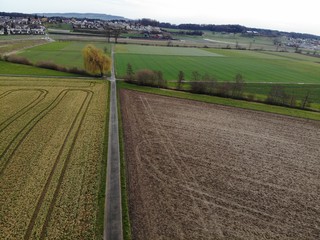 road in the field