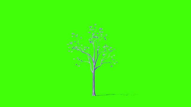 Funky looking tree timelapse growing, Green Screen Chromakey
