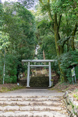 A sacred gateway of shrine