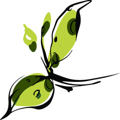 flower leaf, green leaf, vector graphic, garden plant