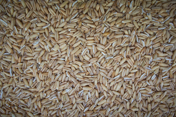 Pile oats grain peel background and texture, top view