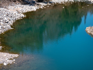 The shadow of the tree reflected in the clear blue water