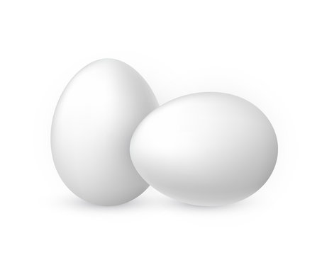 White egg on white background. Design template. Vector illustration