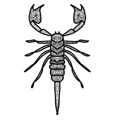 Scorpio in the patterns of the mandala. Anti-stress coloring. Patterned scorpion. Coloring insects. Flower coloring book.