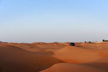 Fototapeta na wymiar Huge dunes of the desert. Beautiful structures of yellow sand dunes. Offroad vehicle bashing through sand dunes in the desert. United Arab Emirates. Asia.