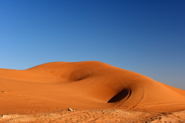 Naklejka na ściany i meble Huge dunes of the desert. Beautiful structures of yellow sand dunes. United Arab Emirates. Asia.