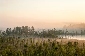 Sonnenaufgang im immergrünen Wald mit Moor, Dunst über Wasser und Land, Nordkarelien, Russland © Kekyalyaynen