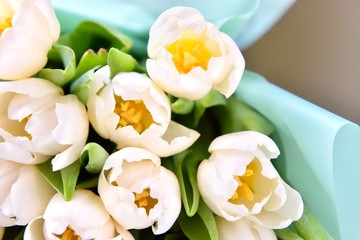 Bunch of white tulips flowers with selective focus and blurred background. Beautiful spring...