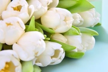 Bunch of white tulips flowers with selective focus and blurred background. Beautiful spring flowers. Bouquet of white tulip for Mother’s Day. Gift for international woman day. 