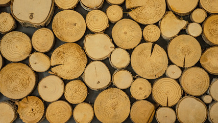 Stack of wooden stumps in cross section texture background