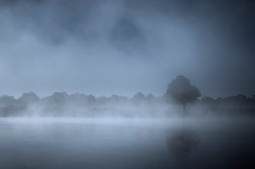 River landscape in the fog / Dark blue river landscape in the morning mist.