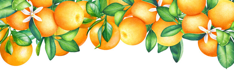 Fruit design with watercolor orange tree branches