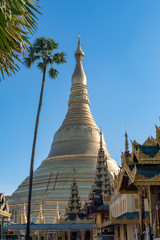 Fototapeta premium Shwedagon Paya Zedi