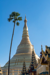 Fototapeta premium Shwedagon Paya Zedi