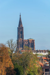 Cathedral of Strassbourg on a sunny day