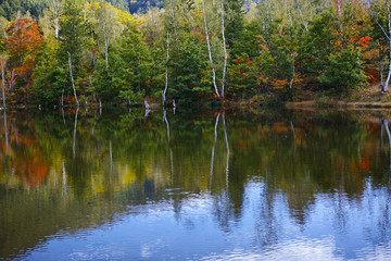 秋の乗鞍高原・まいめの池