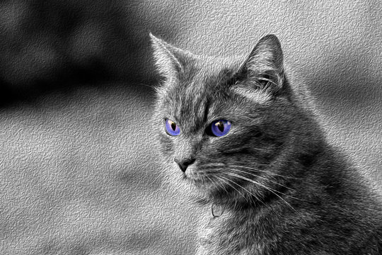 chat mistigri
