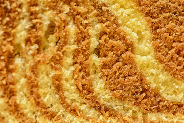 Food photo of tasty and healthy food