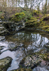 Naklejka na ściany i meble View of rock pool, River Calder, Renfrewshire, Scotland, Uk