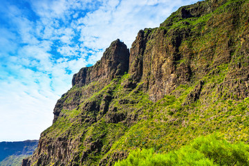 Fototapeta na wymiar magnificent landscape of Barranco del Infierno on the island of Tenerife in the Canaries
