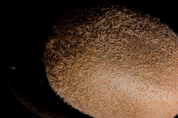 Sharp brown kiwi fruit textured skin close up still on a black background