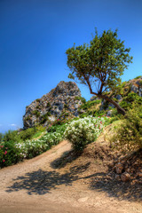 From Scopello, Sicily