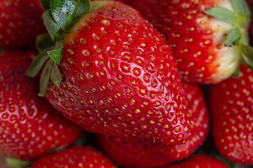 Many red strawberries fruity background