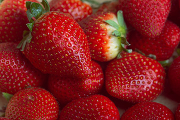 Many red strawberries fruity background
