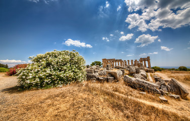 Temple at Selinunte