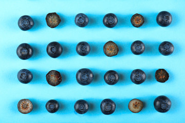 Perfectly ripe freshly picked local produce blueberries. Close up, copy space for text, top view, background. Healthy vegan snacks full of antioxidants. Seasonal summer berries.