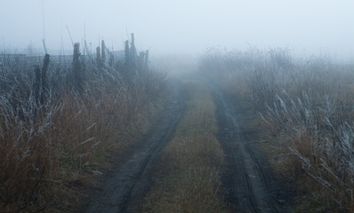 road fog 