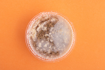 Jellied meat, bone jelly in plastic box