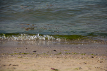 beautiful sea shore, waves, sand, background