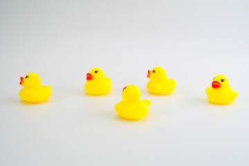 Five mini yellow rubber ducks in a random placed group. Getting
