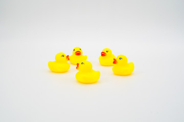 Five mini yellow rubber ducks in circle facing each other. Isola